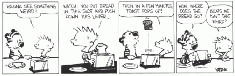 cartoons_calvin_and_hobbes_mystery_bread(1000x324x256)