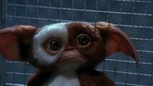 Gremlins - movie (gizmo)