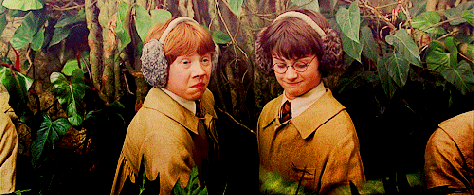 harry-potter-herbology-gif