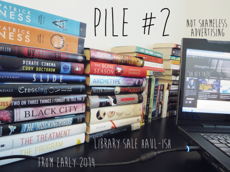 the-shelfie-hop-2015-pile-2