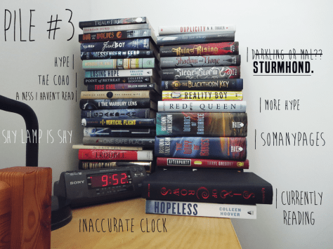 the-shelfie-hop-2015-pile-3