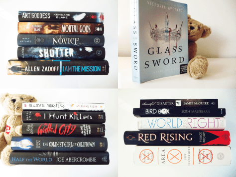bookoutlet-winter-2015-haul