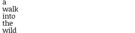 a-walk-into-the-wild-book-blog-banner