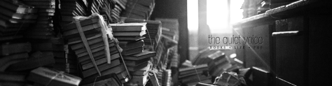 the-quiet-voice-book-blog-banner