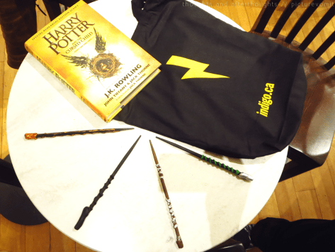 20160730 HP IndigoMidnightMagic - wands